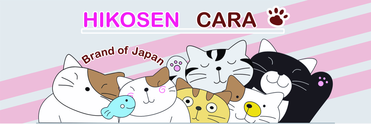 Hikosen-cara.com
