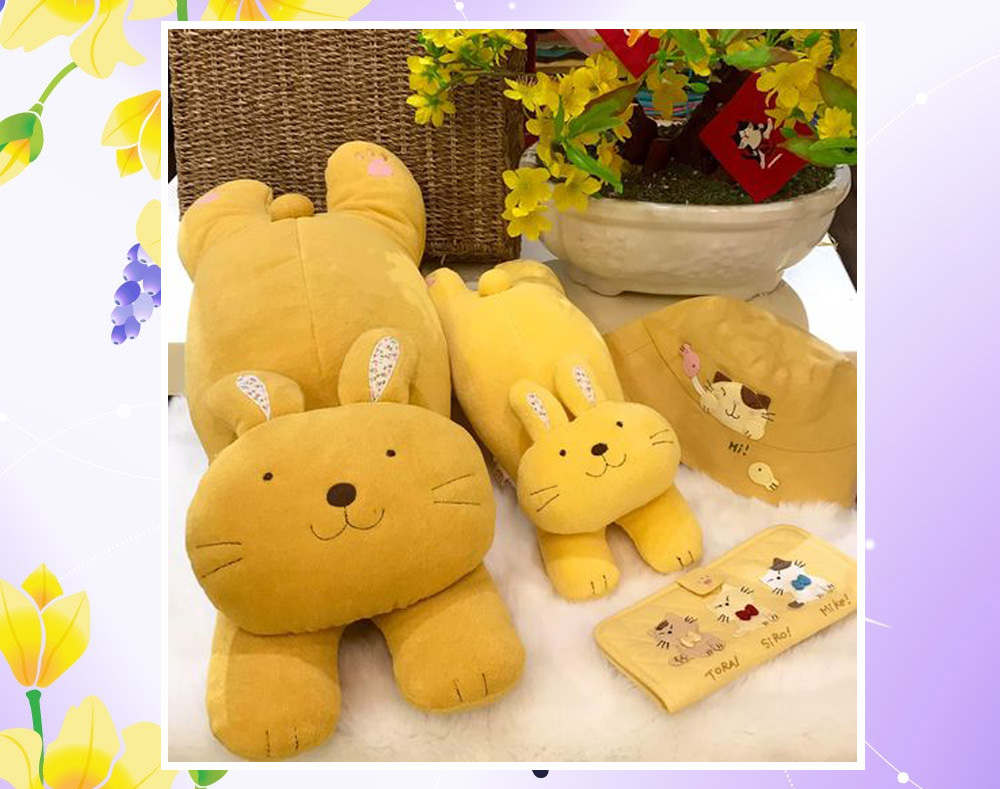 Hikosen-cara.com