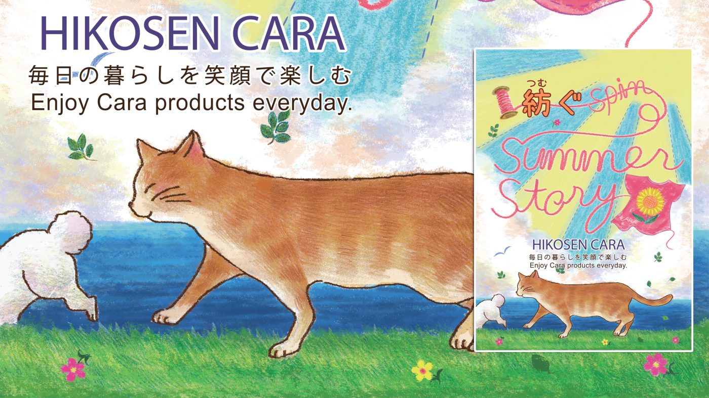 Hikosen-cara.com
