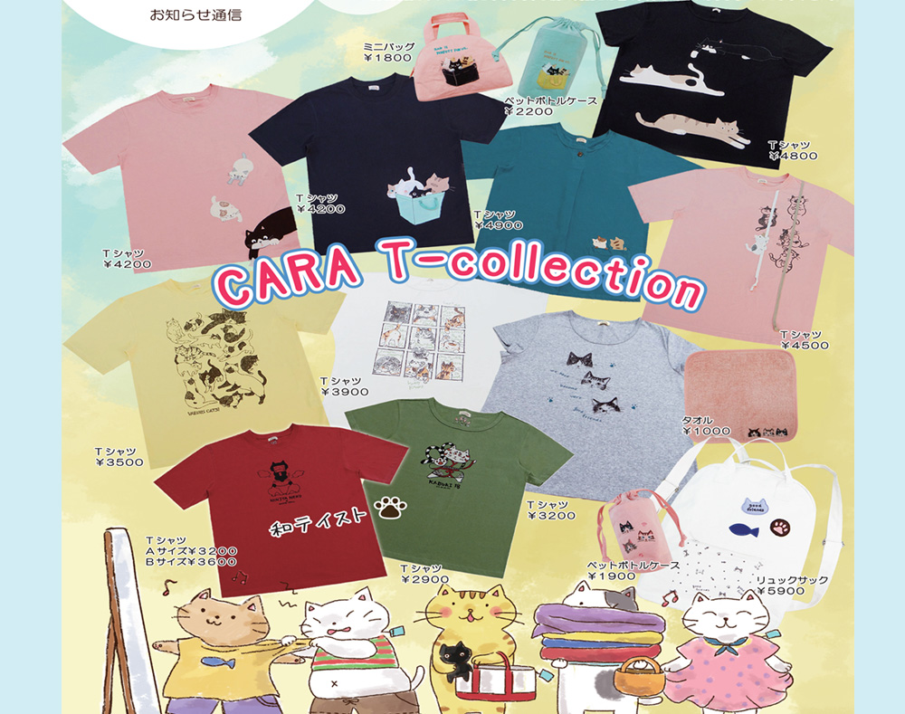 Hikosen-cara.com