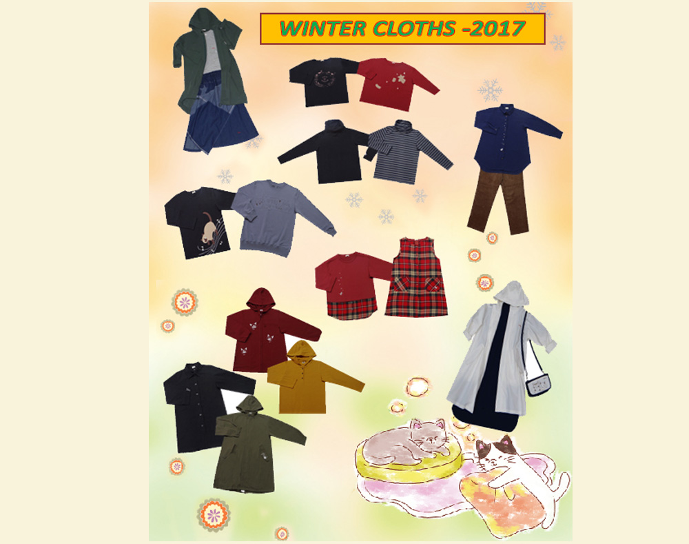 Hikosen-cara.com