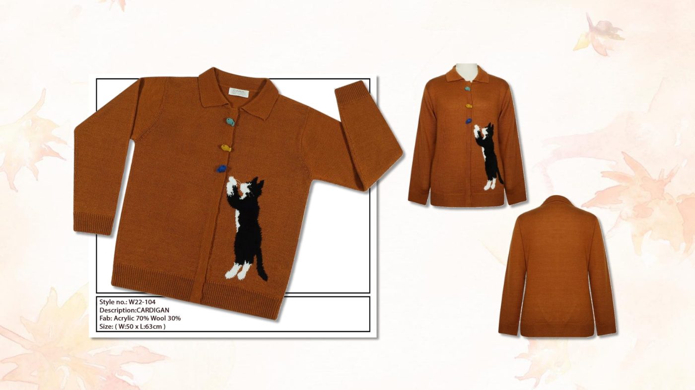 Hikosen-cara.com
